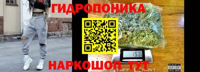 СК Рыбинск